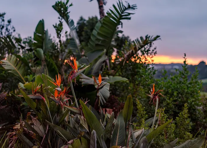Pezula Nature Retreat